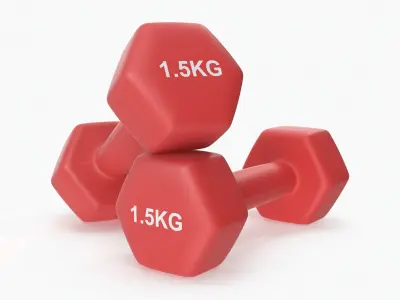 Plastic Fitness Dumbbells 1.5kg 3D model