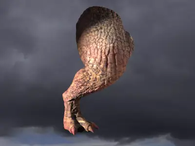 Dragon leg  Red Fin 3D model