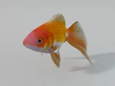 Goldfish Low-poly 3D model