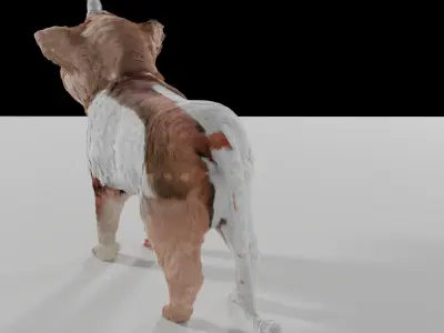 dumara 3d Low-poly 3D model