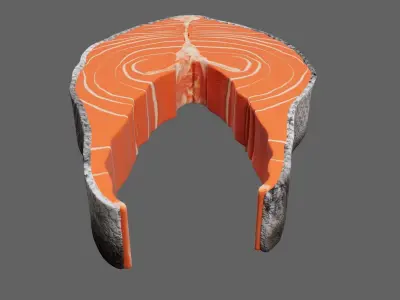 Slice of Raw Salmon 3D model