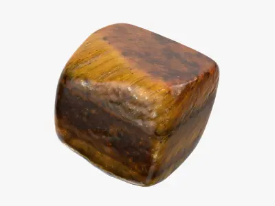 Tigers Eye 04 3D model