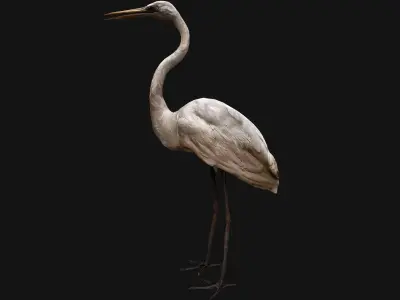 Bird Set  Swan Heron Ducks Pheasant Low-poly 3D model