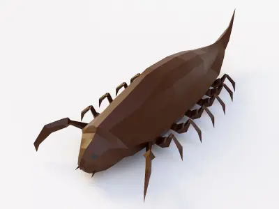 Woodlouse Bug 3d model  Low-poly 3D model