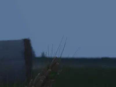 One Stinkbug Two scenes Free low-poly 3D model