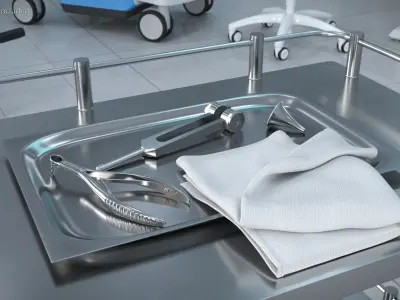 ENT Diagnostic Instrument Tray Stainless 3D model