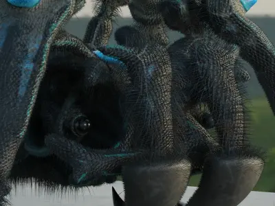 Spider Crab Creature Low-poly 3D model