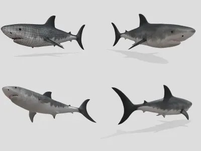 Big Fish Collection Animated - Game Ready Low-poly 3D model