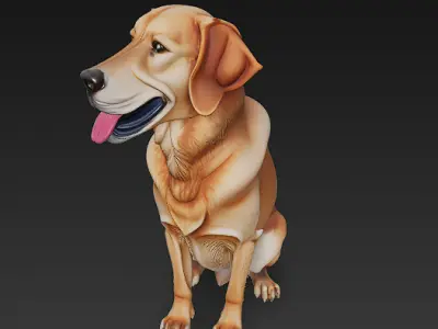 Golden Retriever Dog Realistic 3D Model - Low Poly Realistic Low-poly 3D model