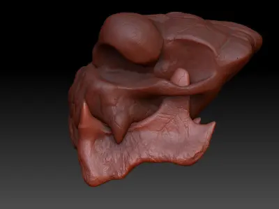 Rancor Skull 3D print model