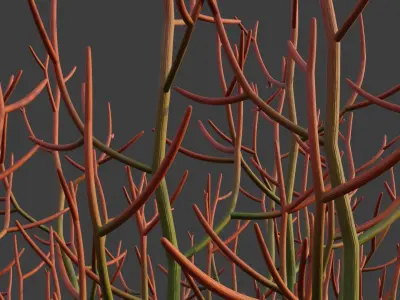 XfrogPlants Sticks on Fire - Euphoriba Tirucalli 3D model