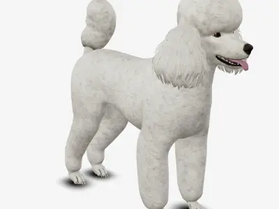 Dog Poodle Low-poly 3D model