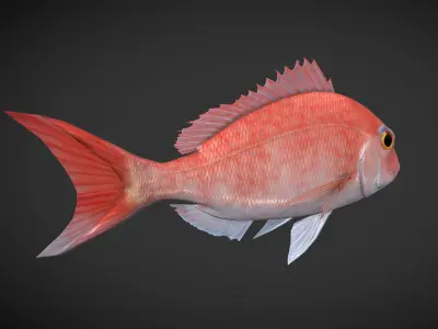 Carp 01 Low-poly 3D model