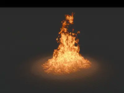 3D Fire Animation 3D model