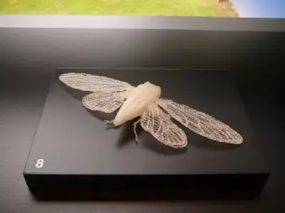 Cicada plastic butterfly Free 3D print model