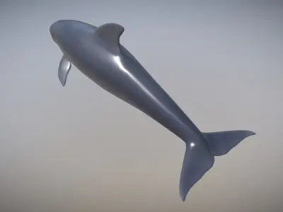 Dolphin Low-poly 3D model