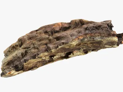 Tree Trunk Piece 13 3D model