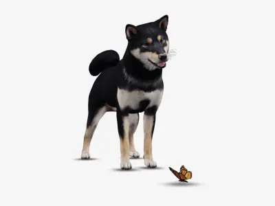 Dog Shiba Inu Low-poly 3D model