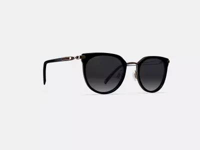 Whittier Sunglasses in Jet Black with Polished Gold 3D model