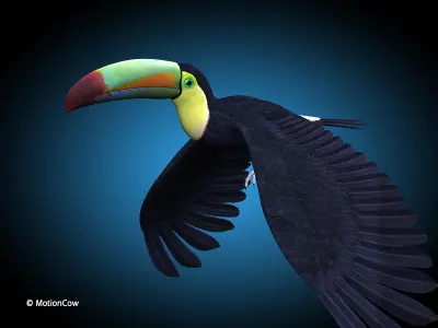 Toucan B - Flight 3D model