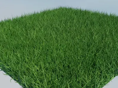 0A Cutting-Edge Realistic 3D Grass Model Low-poly 3D model