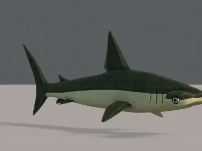 Shark V02 Low-poly 3D model