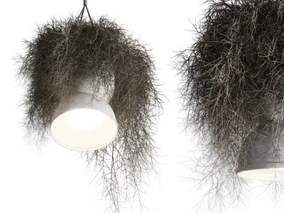 birds nest with pendant lights Low-poly 3D model