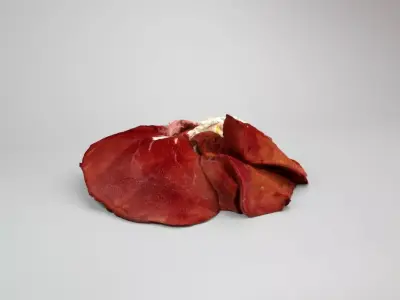Raw Pig Liver Low-poly 3D model
