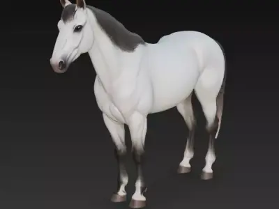 White Horse 3D model