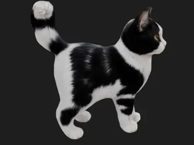 Black and white cat 3D model