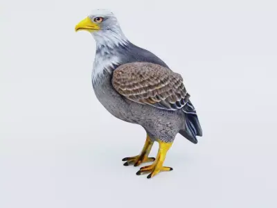 Eagle Free 3D model