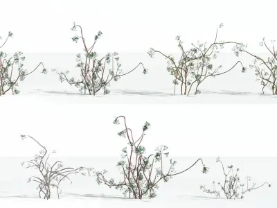 EVERYPlant Baiera LowPoly 2 --14 Models-- Low-poly 3D model