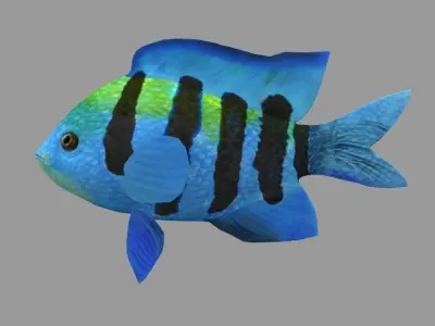 Modal Fish03 Low-poly 3D model