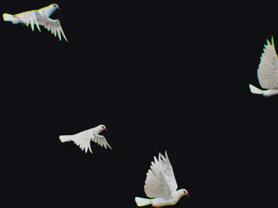 Dove Flock White Bird Animated Swarm Shoal Birds Lowpoly Doves Low-poly 3D model