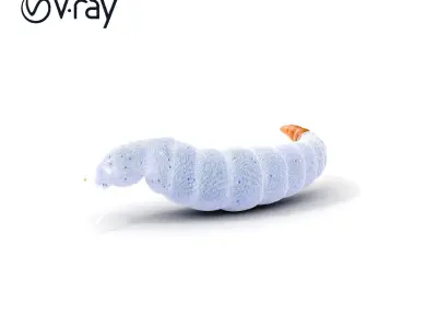 Realistic Caterpillar Model Pack with Detailed Textures Low-poly 3D model