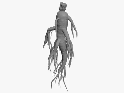 Ginseng for 3D Print 3D model