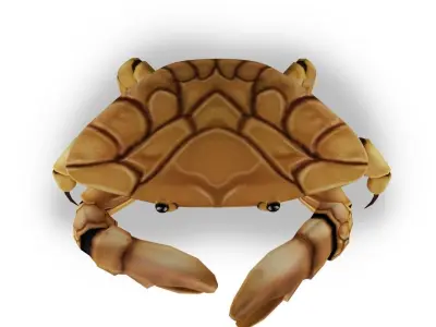 3D Crab Low-poly 3D model