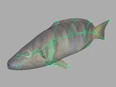Pirka - Serranus scriba Low-poly 3D model
