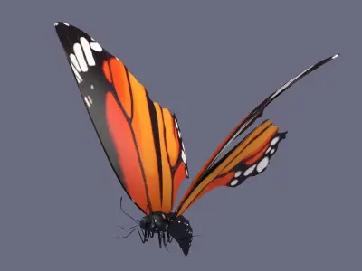 butterfly antenna wing insect fly wildlife summer sky 3D model