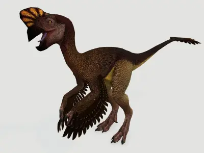 Oviraptor Low-poly 3D model