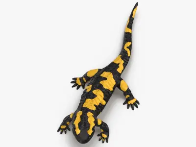 Salamander Standing 3D model