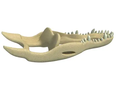 Crocodile jaw 3 3D model