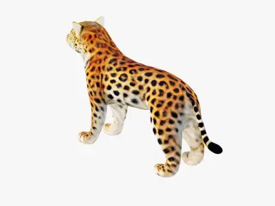 Leopard Free 3D model