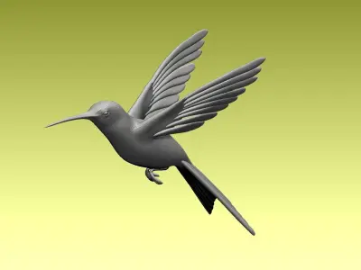 colibri humming bird 3D model