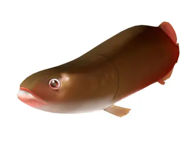 Pirarucu Animated Fish  Low-poly 3D model