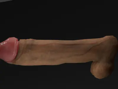 male genitalia - Penis low poly Low-poly 3D model