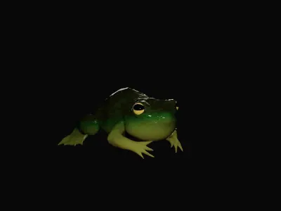 Rigged Croaking Frog Free 3D model