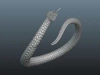 Snake Ring 3D print model