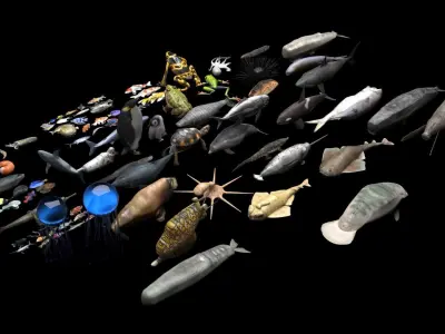 Sea Creatures Collection 3D model