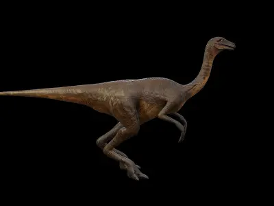 Gallimimus - The Chicken Mimic Low-poly 3D model